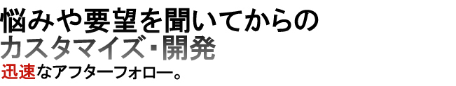 商品紹介ページ見出し3_02