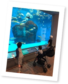 家族で水族館に訪れている写真